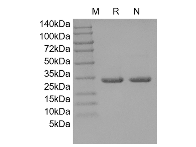 生物相关数据