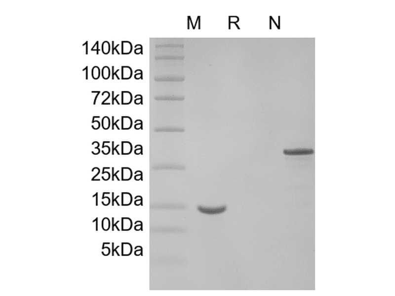 生物相关数据