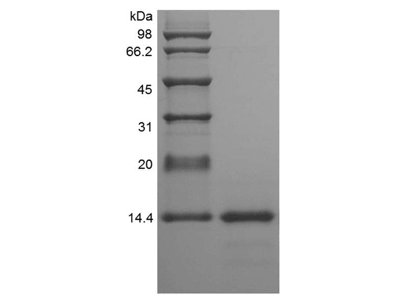 生物相关数据