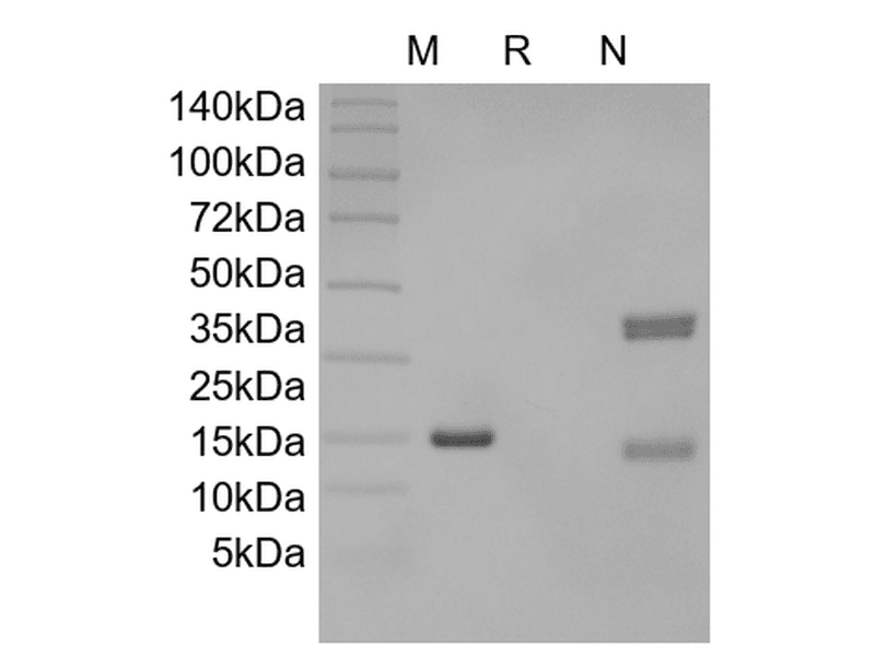 生物相关数据
