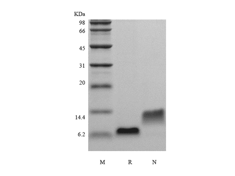 生物相关数据
