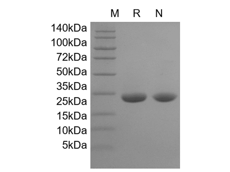 生物相关数据