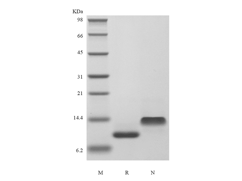 生物相关数据