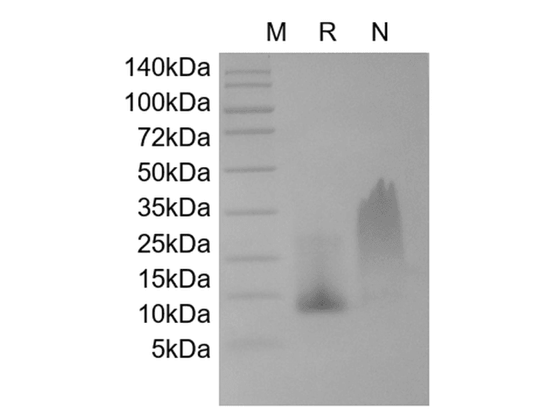 生物相关数据
