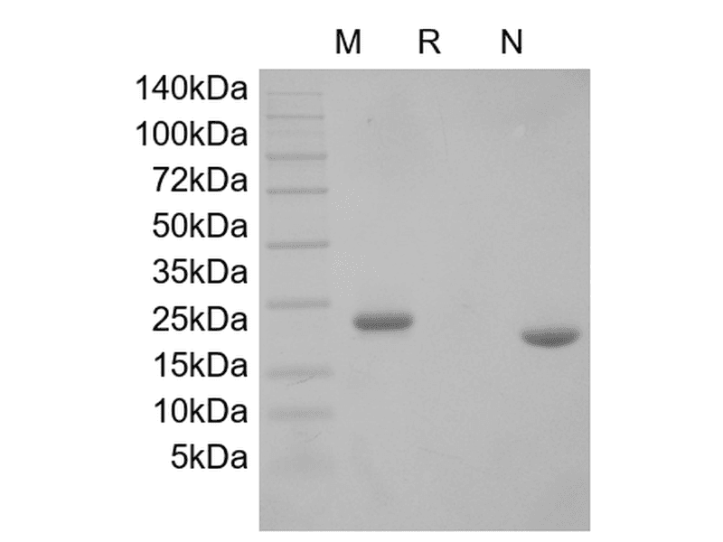 生物相关数据