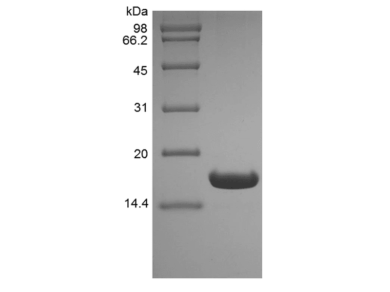 生物相关数据