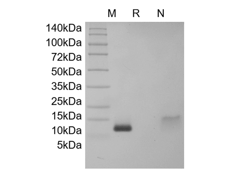生物相关数据