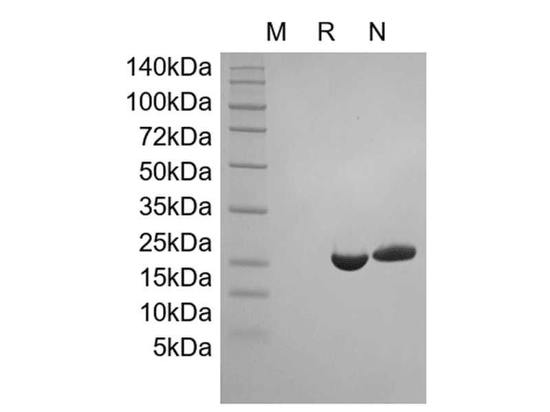 生物相关数据