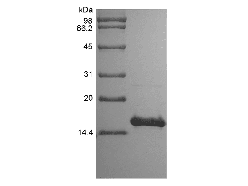 生物相关数据