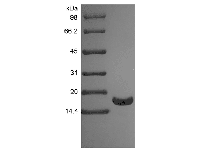 生物相关数据