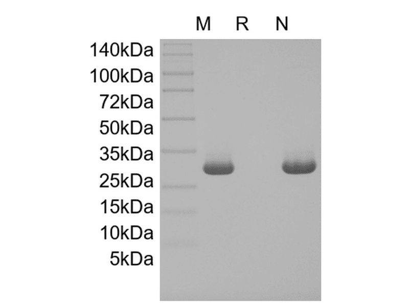 生物相关数据