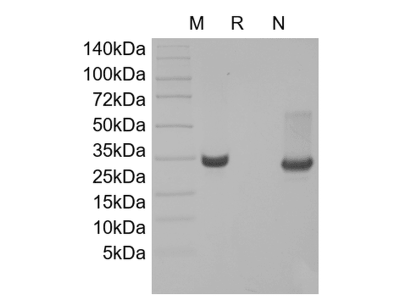 生物相关数据