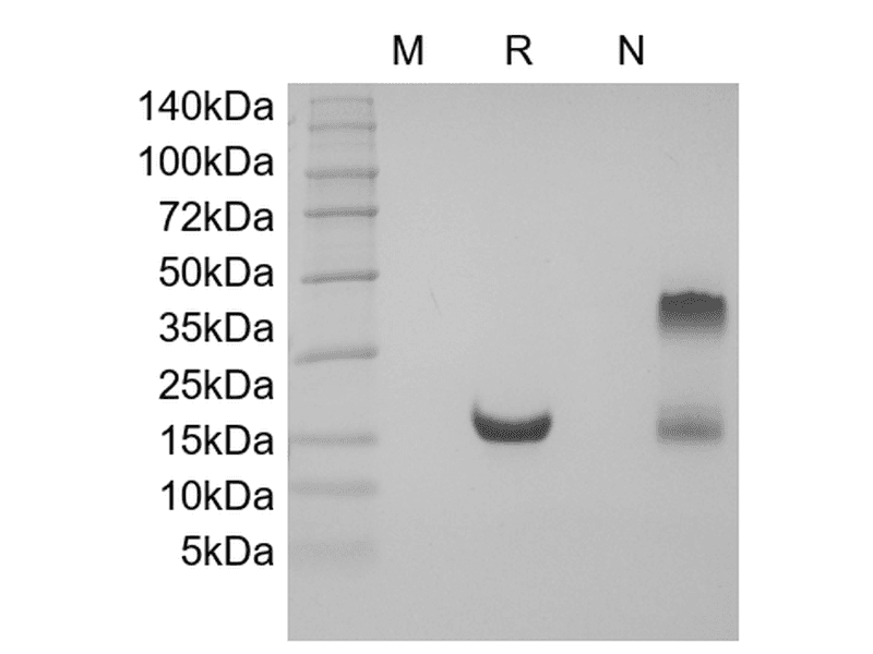 生物相关数据