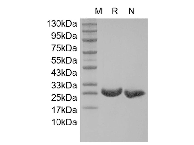 生物相关数据