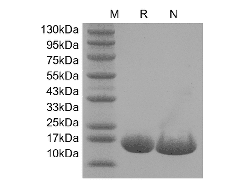 生物相关数据