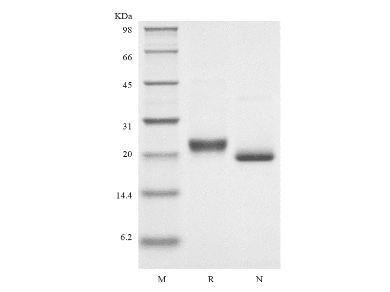 生物相关数据