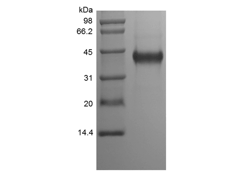 生物相关数据