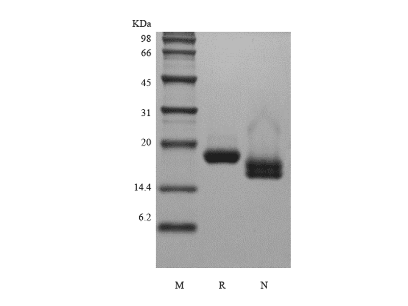 生物相关数据