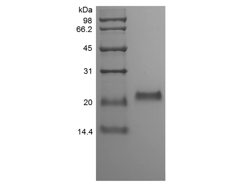 生物相关数据