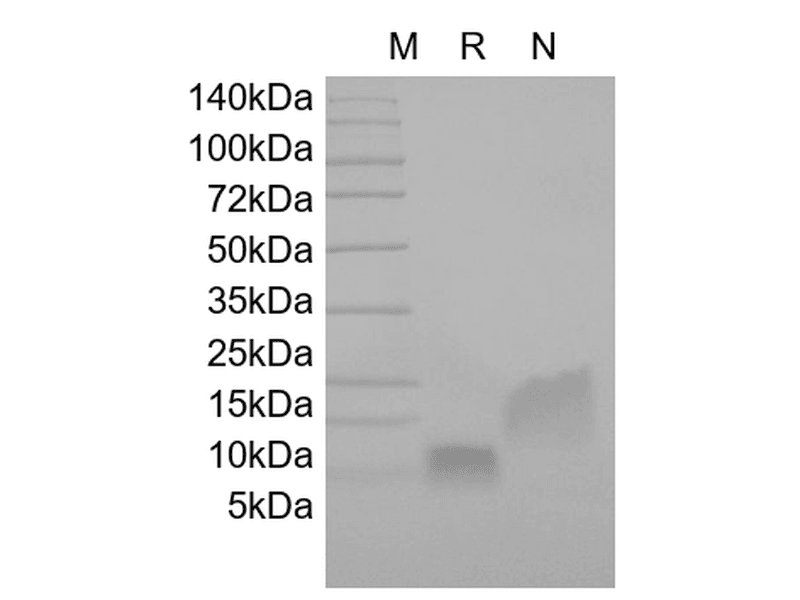 生物相关数据