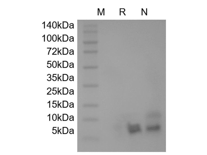 生物相关数据
