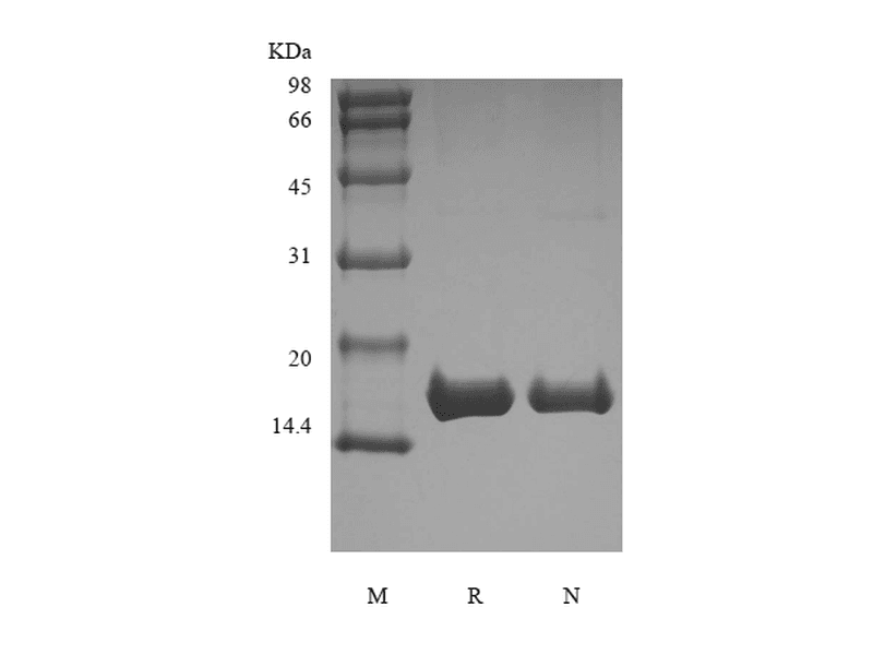 生物相关数据