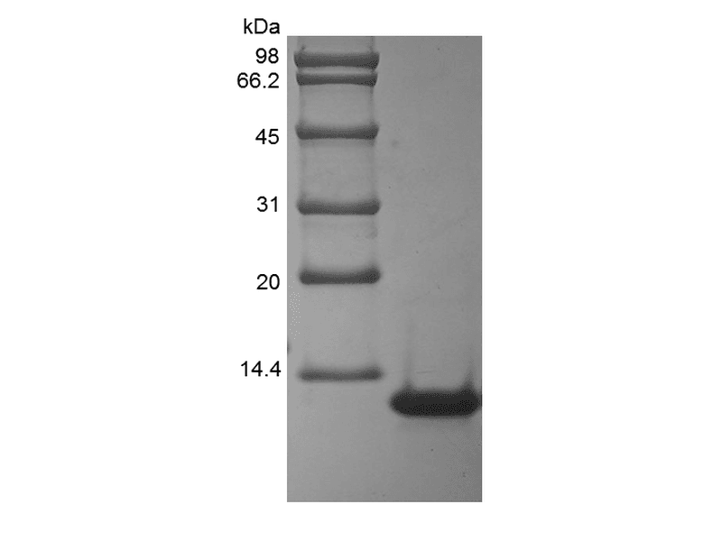 生物相关数据