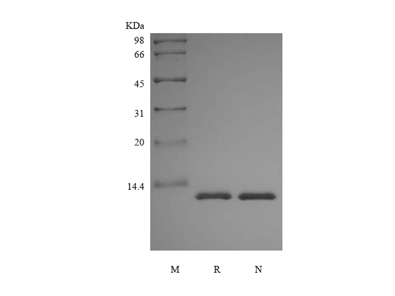生物相关数据