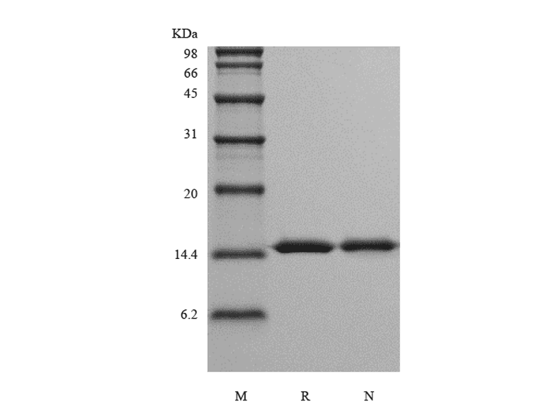 生物相关数据