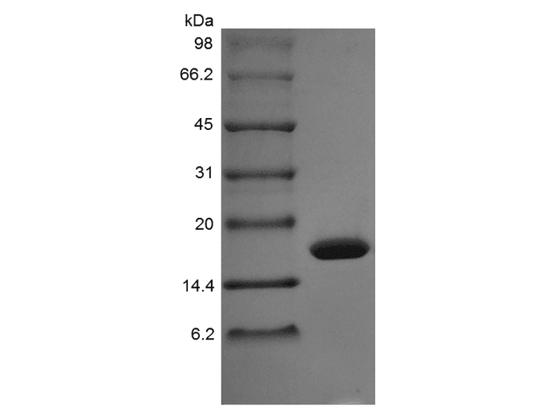 生物相关数据