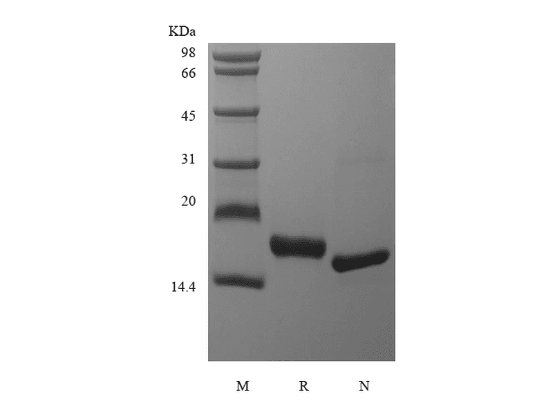 生物相关数据