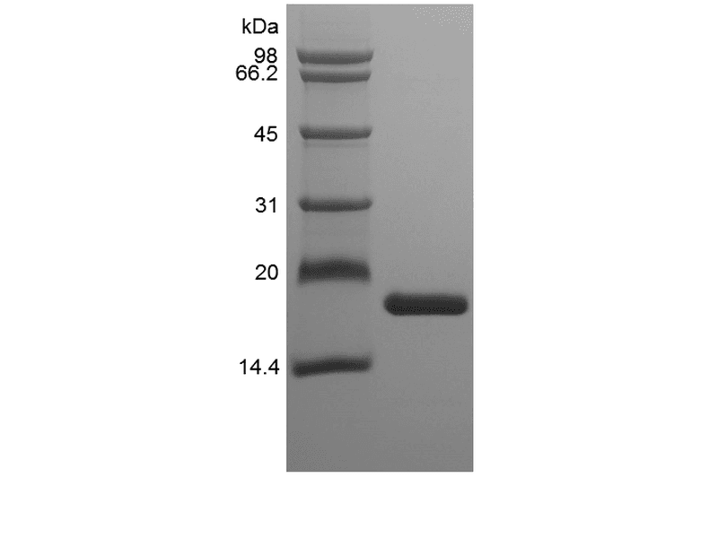 生物相关数据