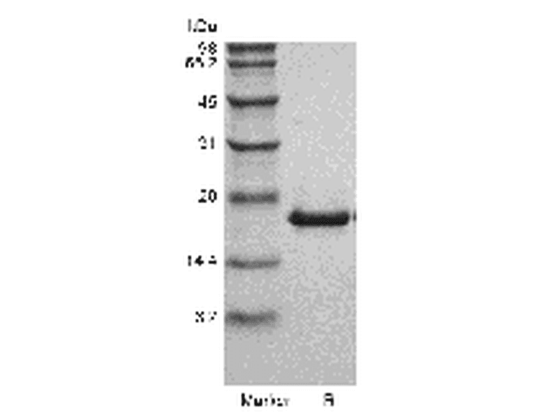 生物相关数据