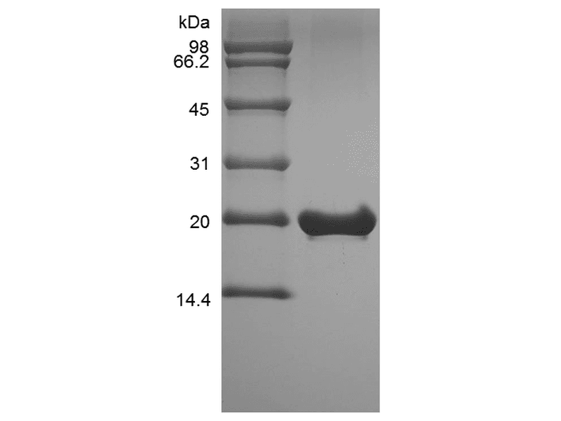 生物相关数据