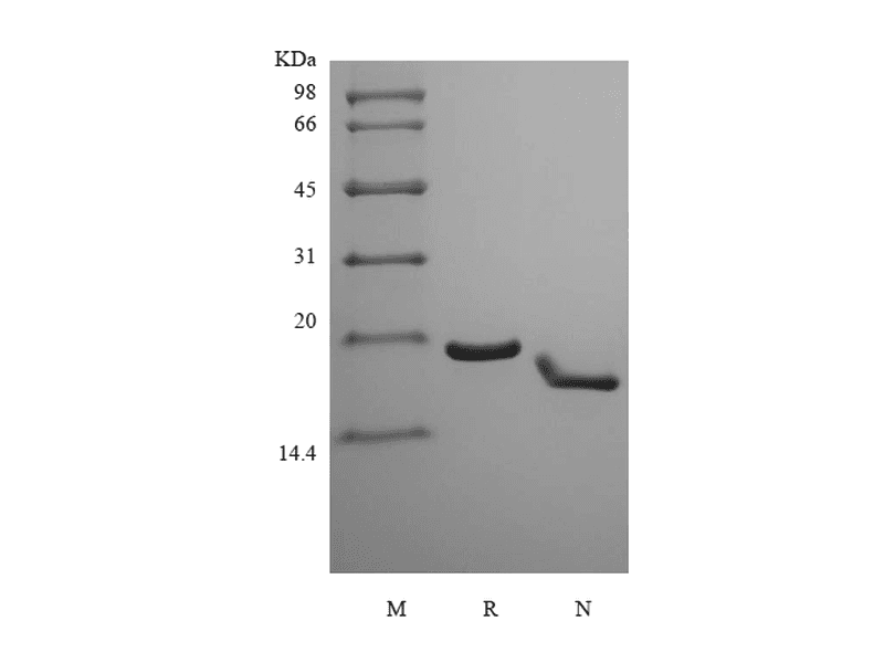 生物相关数据
