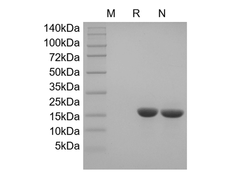 生物相关数据