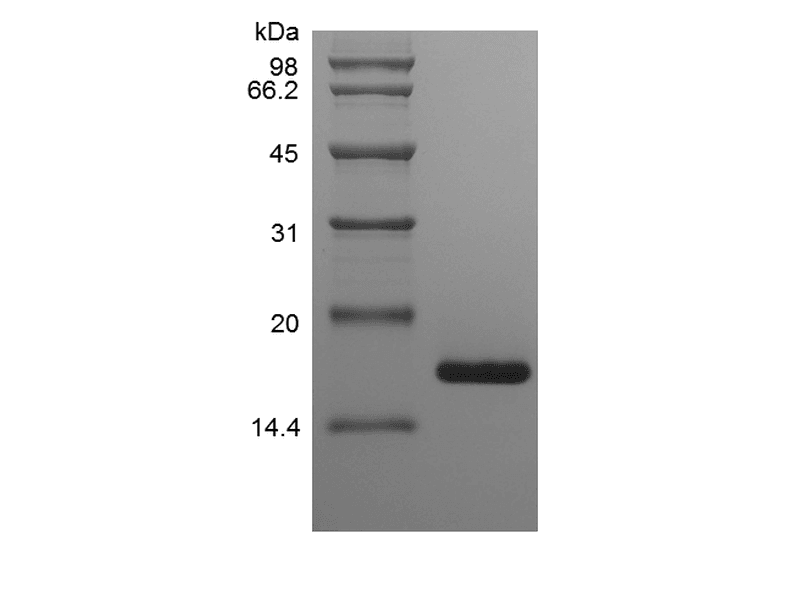 生物相关数据