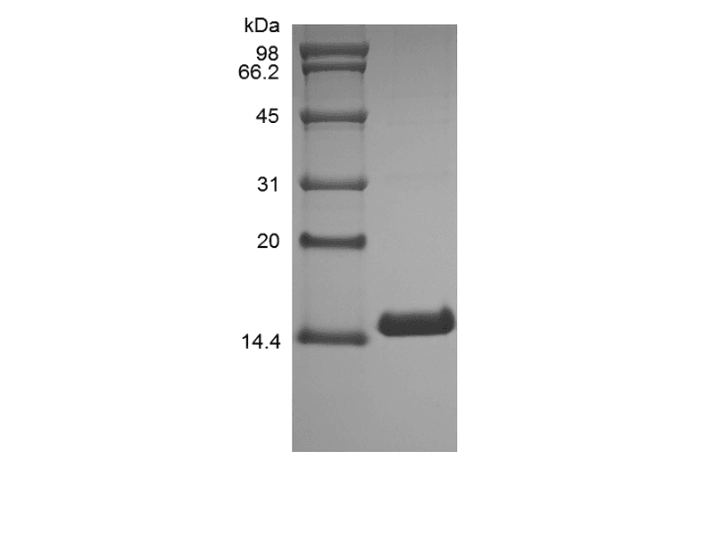 生物相关数据