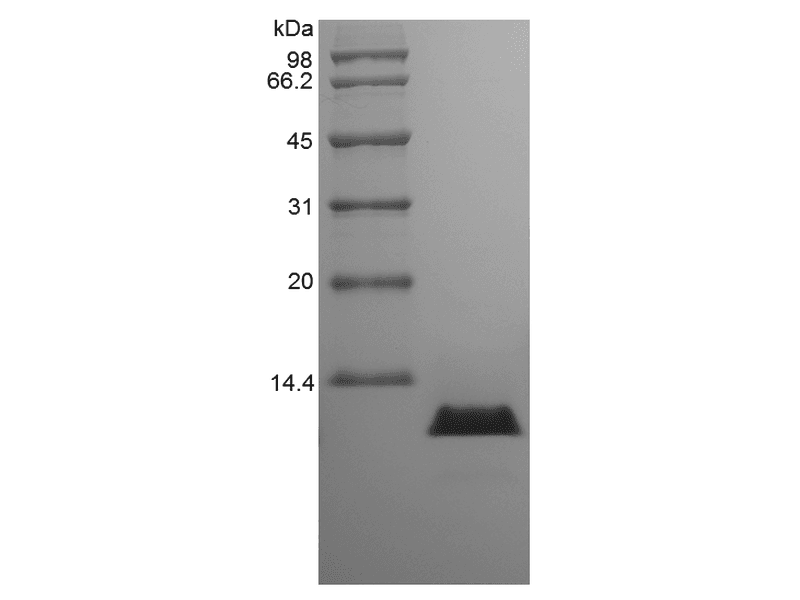 生物相关数据