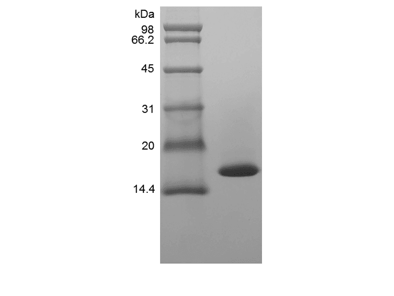 生物相关数据