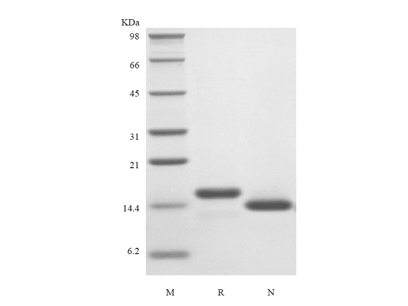 生物相关数据