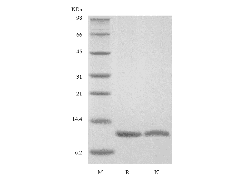 生物相关数据