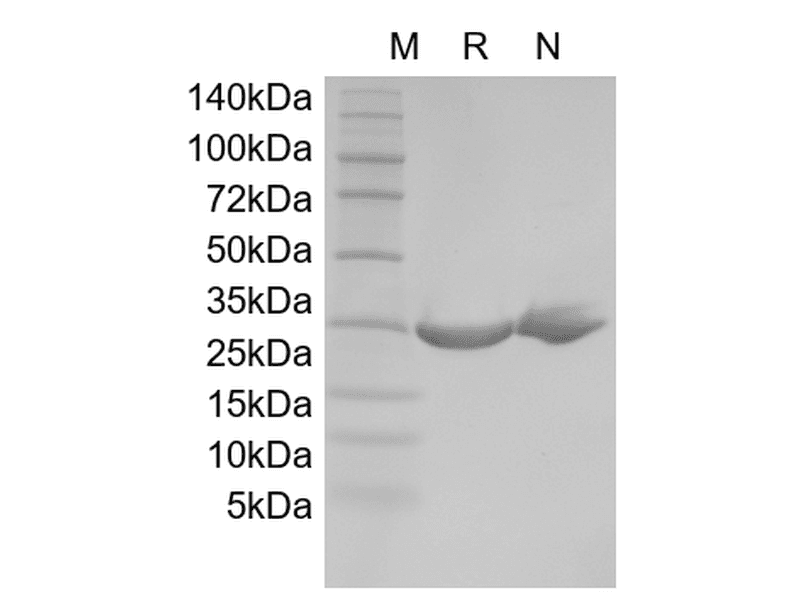 生物相关数据