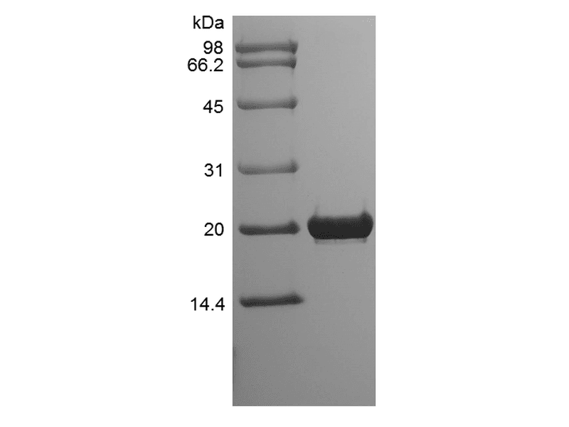 生物相关数据