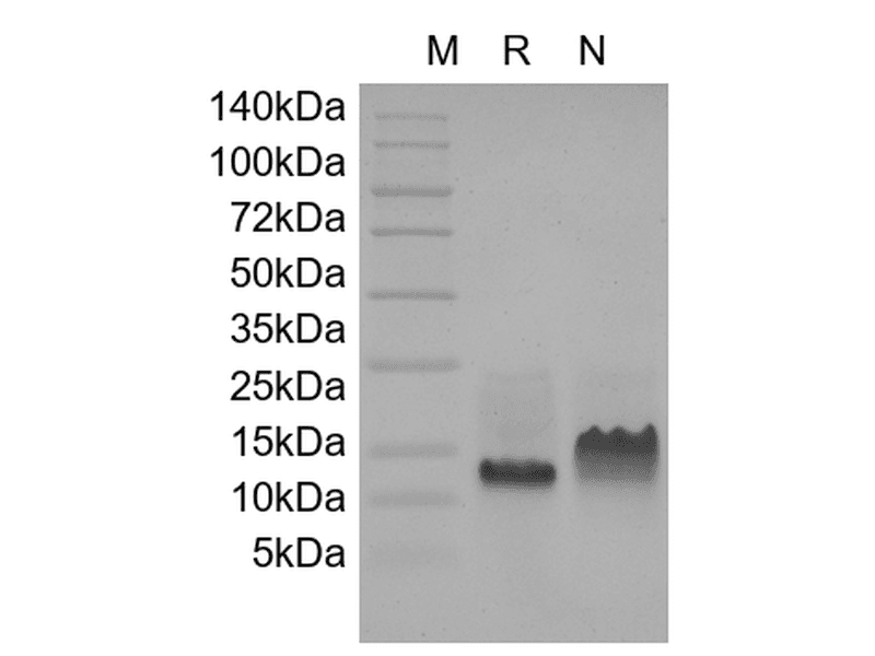 生物相关数据