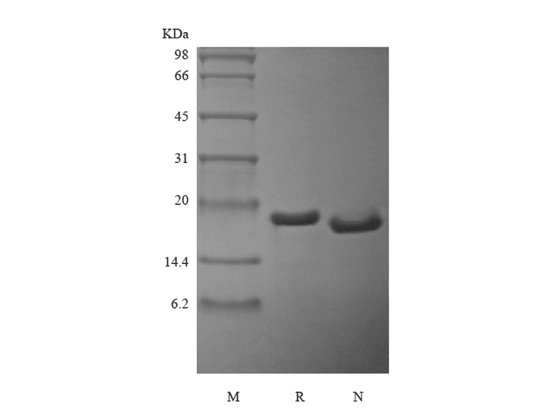 生物相关数据