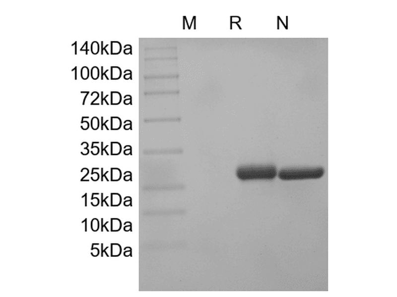 生物相关数据
