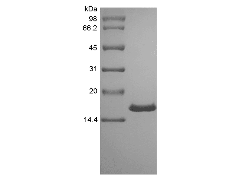 生物相关数据