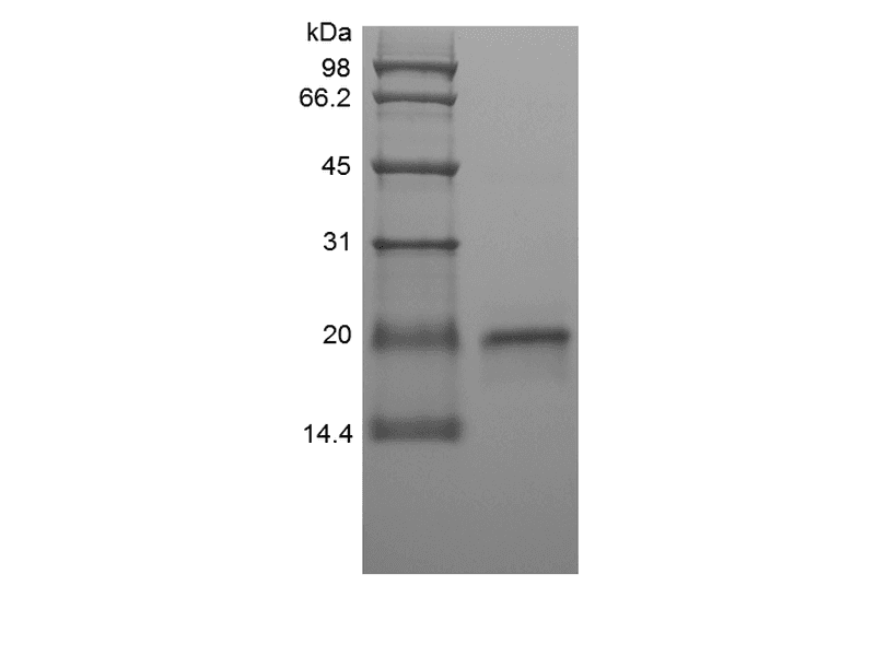 生物相关数据