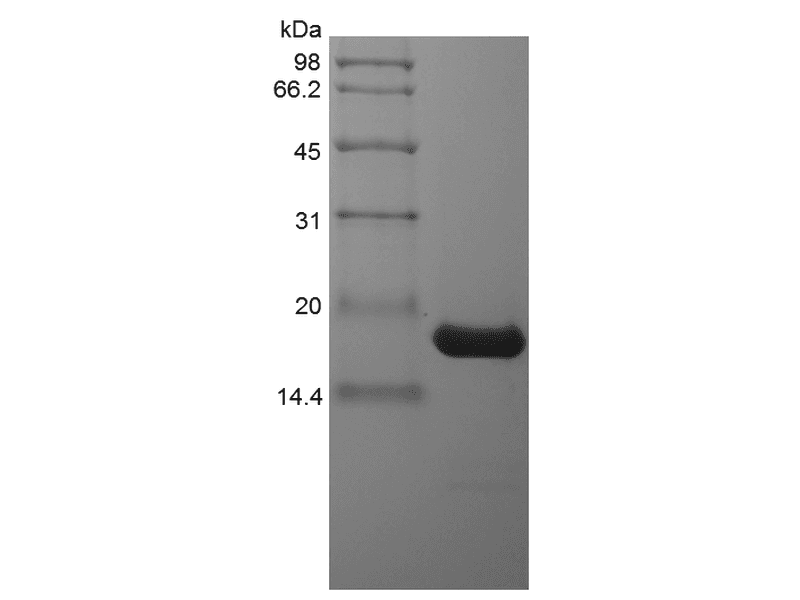 生物相关数据